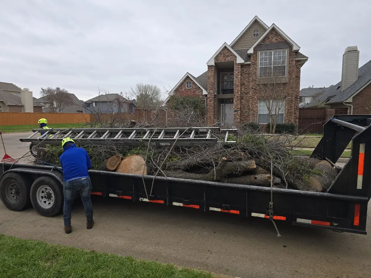 Expert Tree Pest Control with proper safety equipment in Savoy